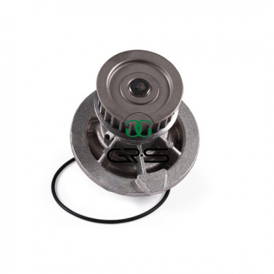 GRS-WP101